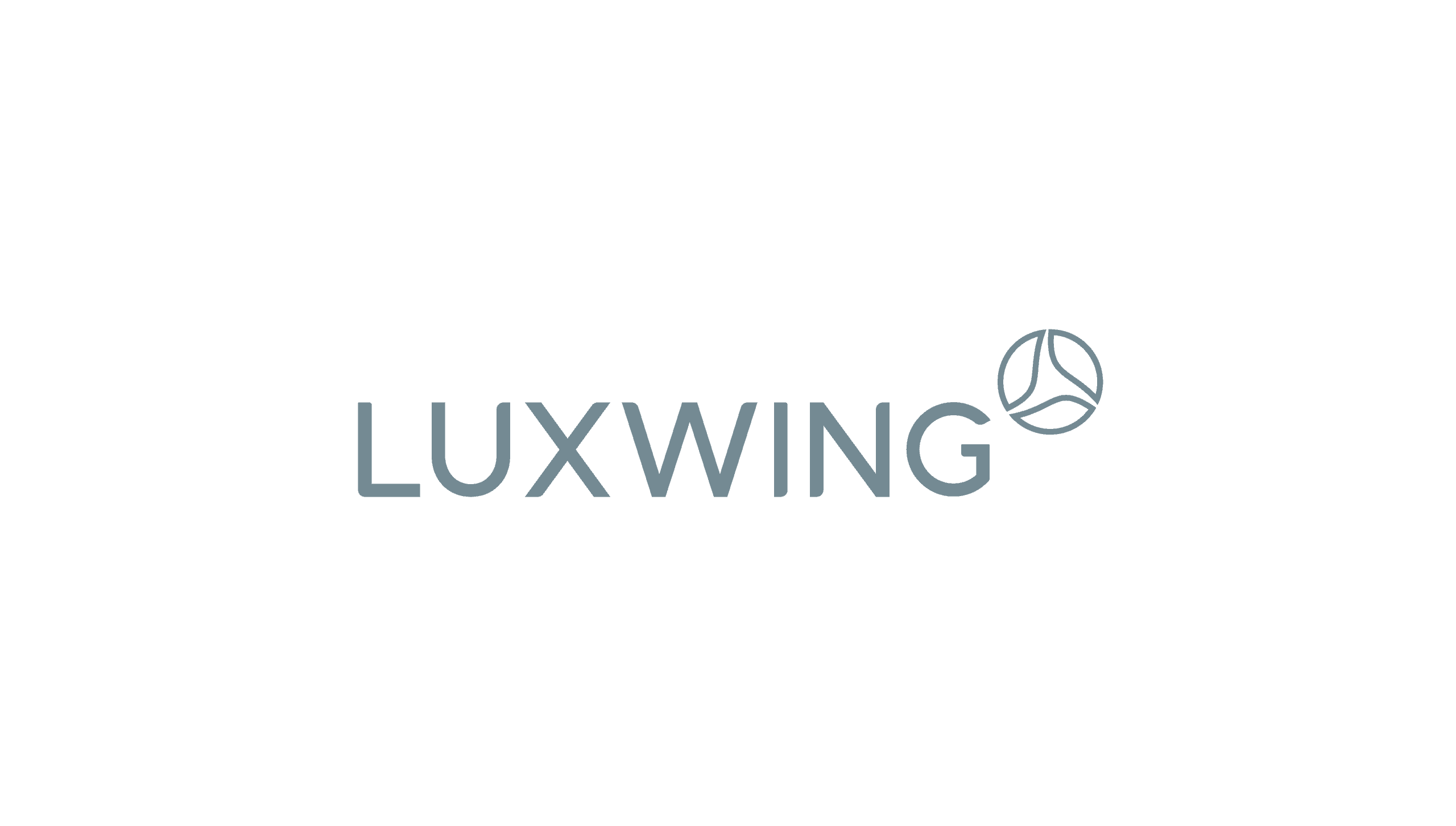 LUXWING LTD